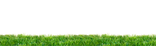 Fibres de brins d'herbe synthétique